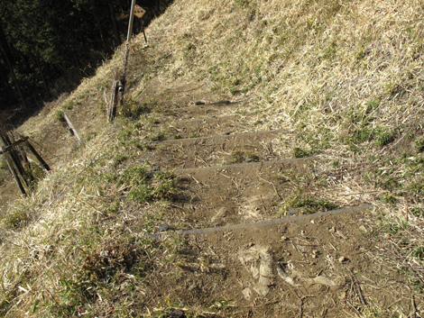 20160108hike (172)